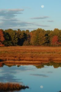 1st Place_Moon Over Marsh_Martha Agan_