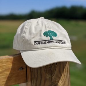 Organic Cotton Ball Cap