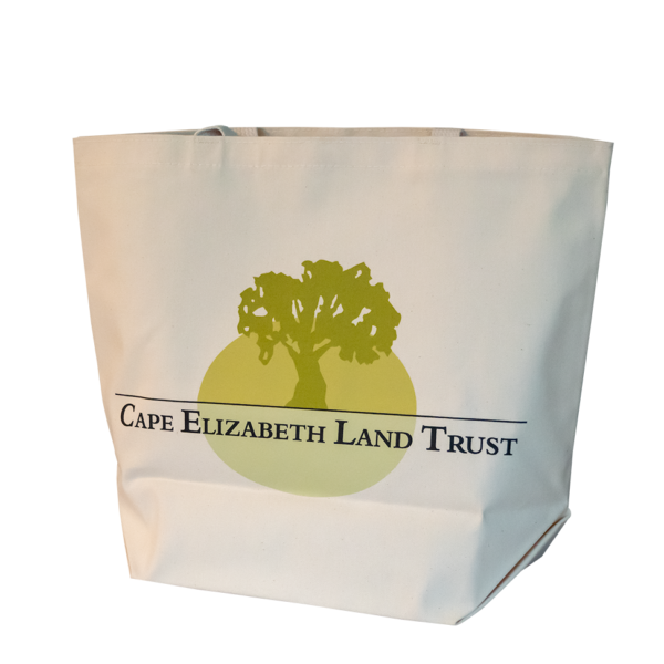 Forever Cape Tote Bag - Image 2