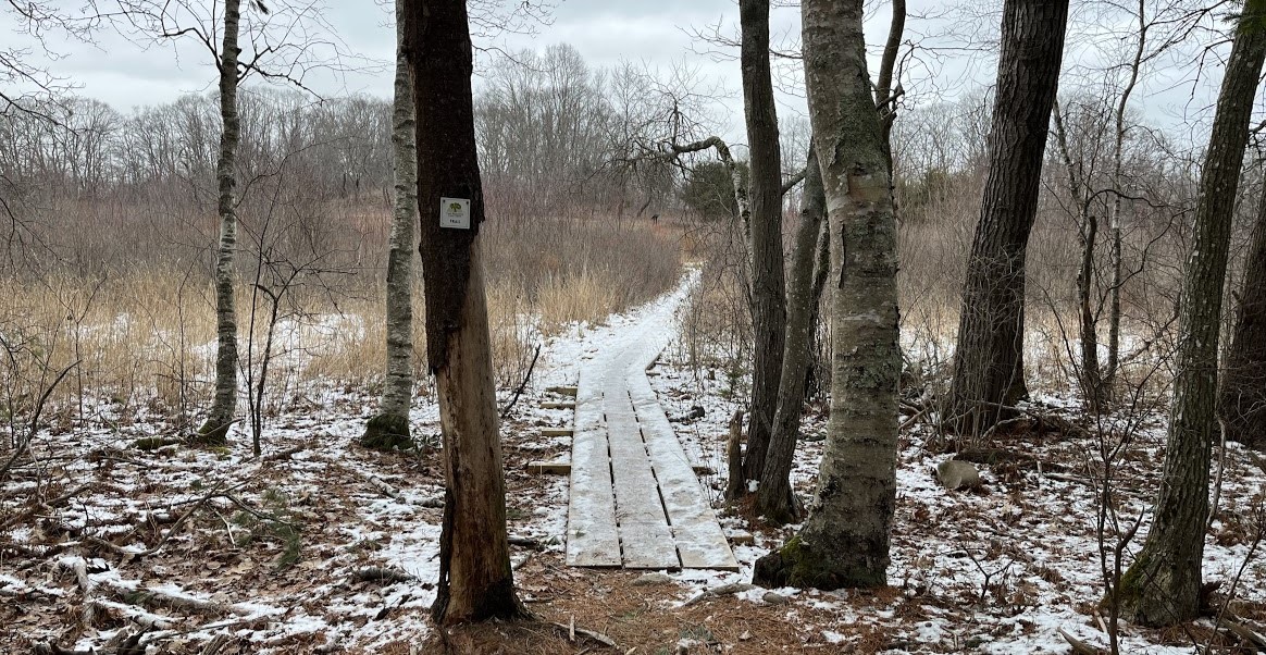 Snowy lookout on the Runaway Farm field boardwalk