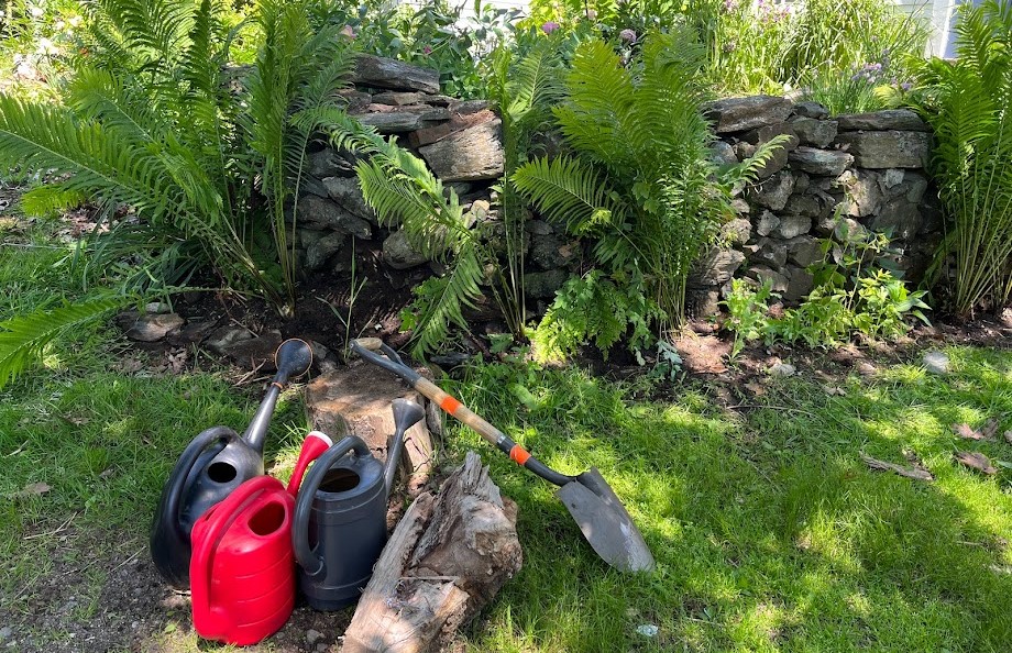 Watering cans and shovel by ferns at garden