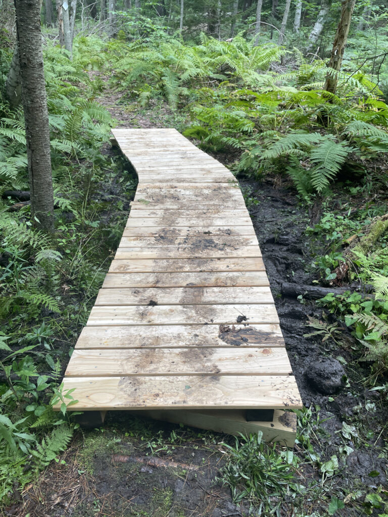 One of the completed boardwalks at Hobstone Woods