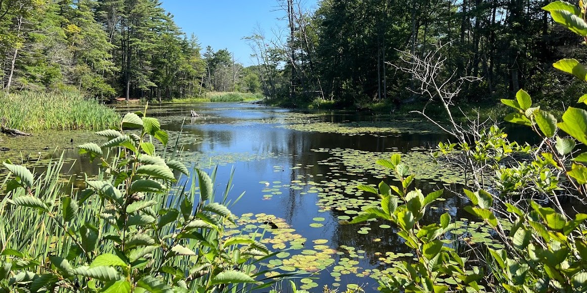 Robinson Pond