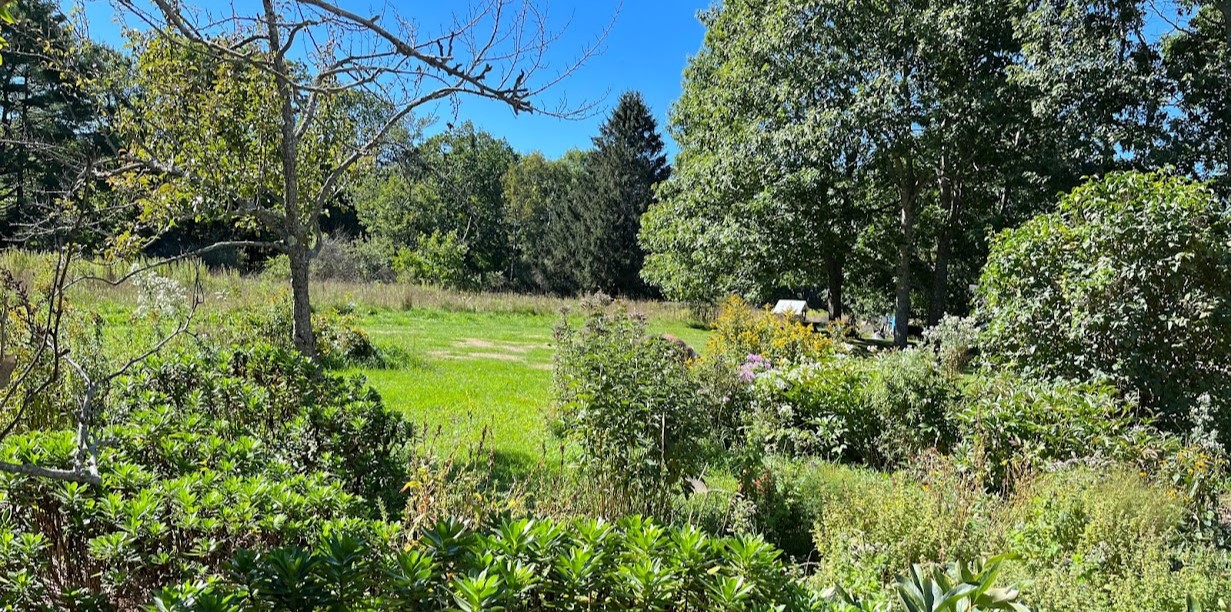 Turkey Hill Farm vegetation