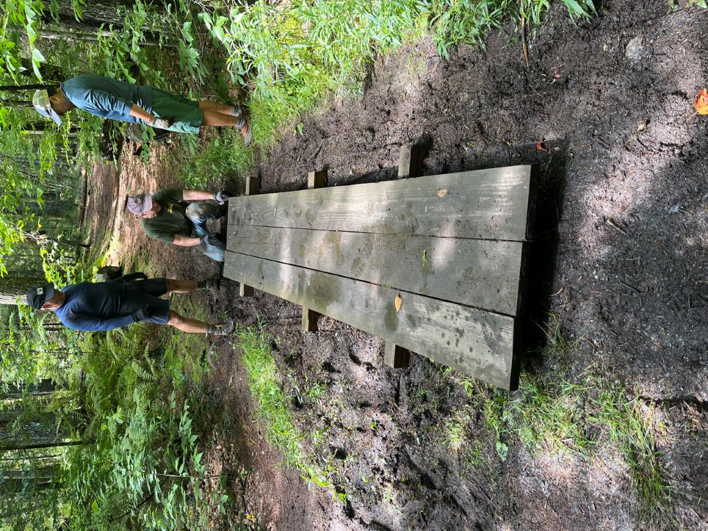 After carrying this boardwalk out to a muddy spot