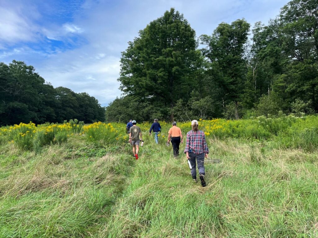 Walking across the field