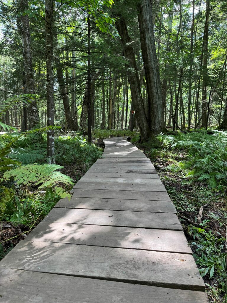 Completed new upland boardwalk