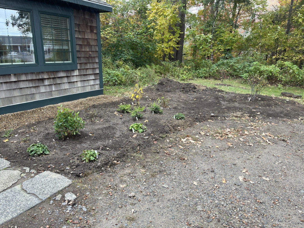 New plantings at the office, right of the door.