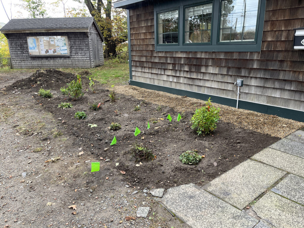 New plantings at the office, left of the door.