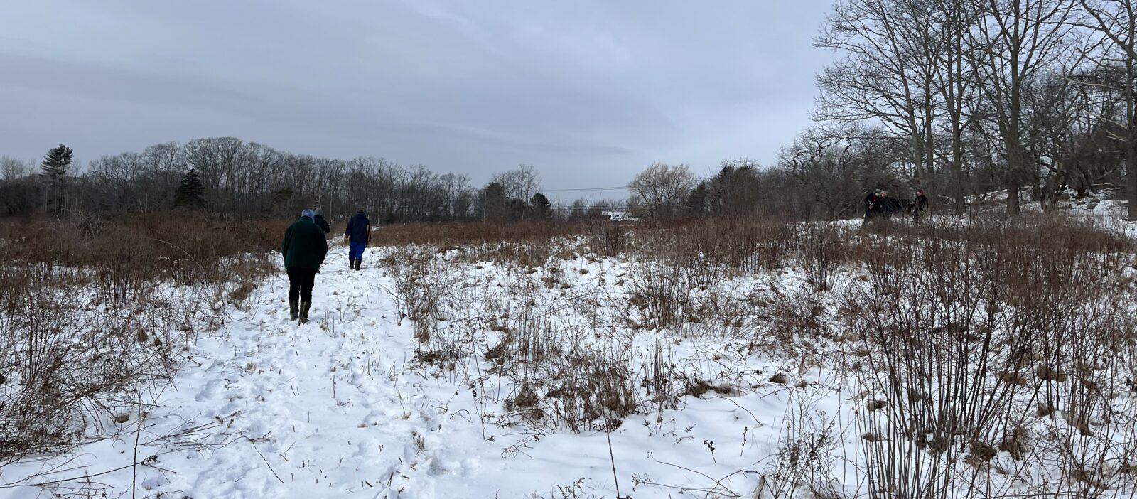 Snowy fields with volunteers at Runaway Farm