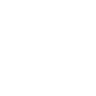 white link icon